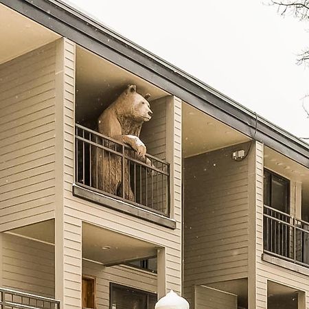 Cimarron Mountain Retreat Apartment Telluride Exterior photo